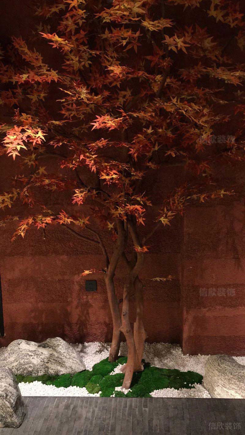 红色枫叶的景观设计效果