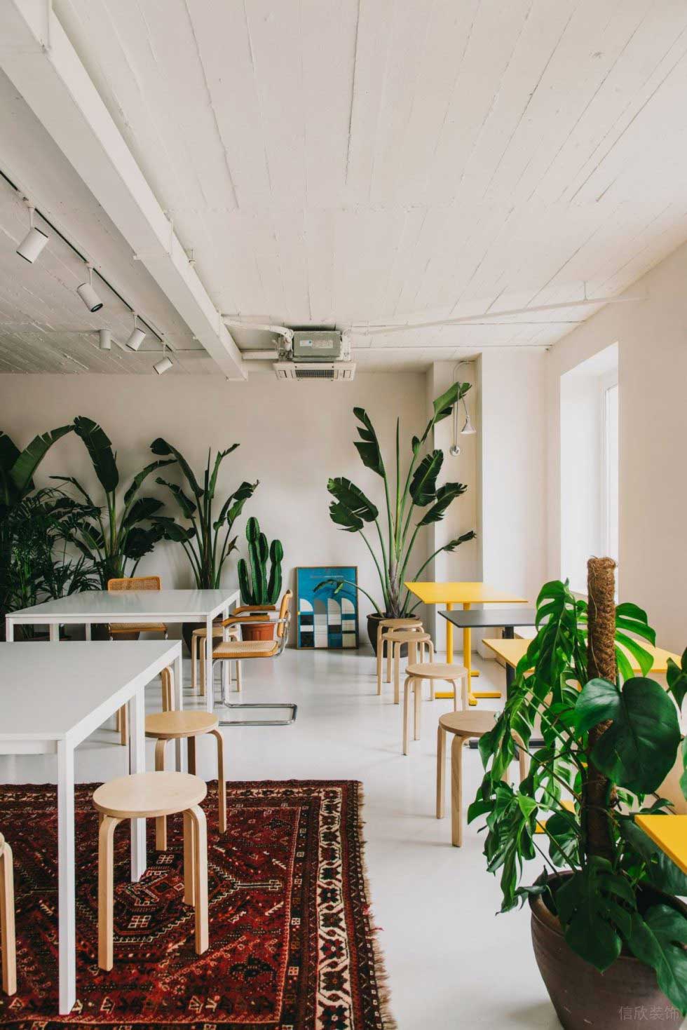 深圳龙华优品文化创意园800平方米极简主义自然风办公室装修案例员工餐厅绿植装饰