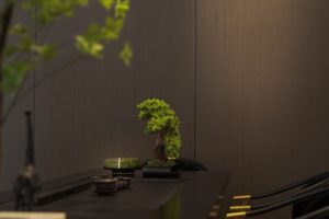 深圳龙华新中式风格餐厅茶室实木扶手椅子装修设计
