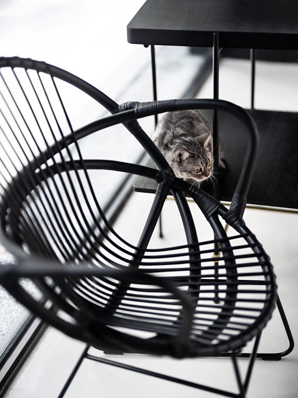 自然空间环境研究所展厅装修方案 铁架造型桌椅及猫咪