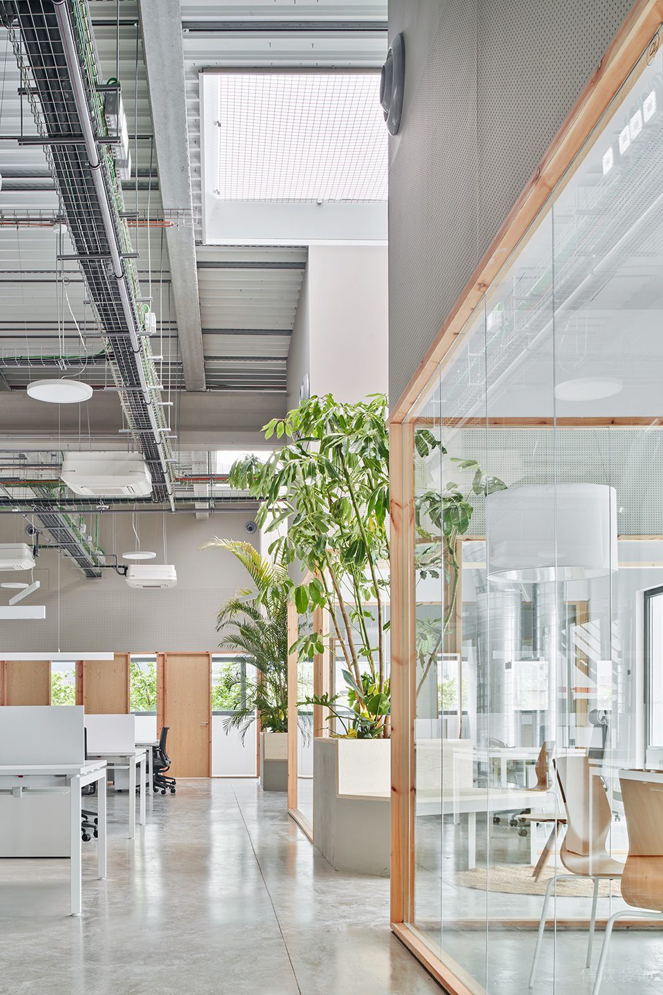 素木色简约自然风办公室装修设计浅灰色水泥自流平地面